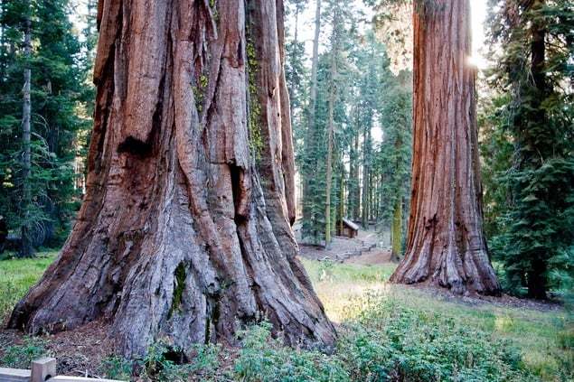 Yosemite National Park