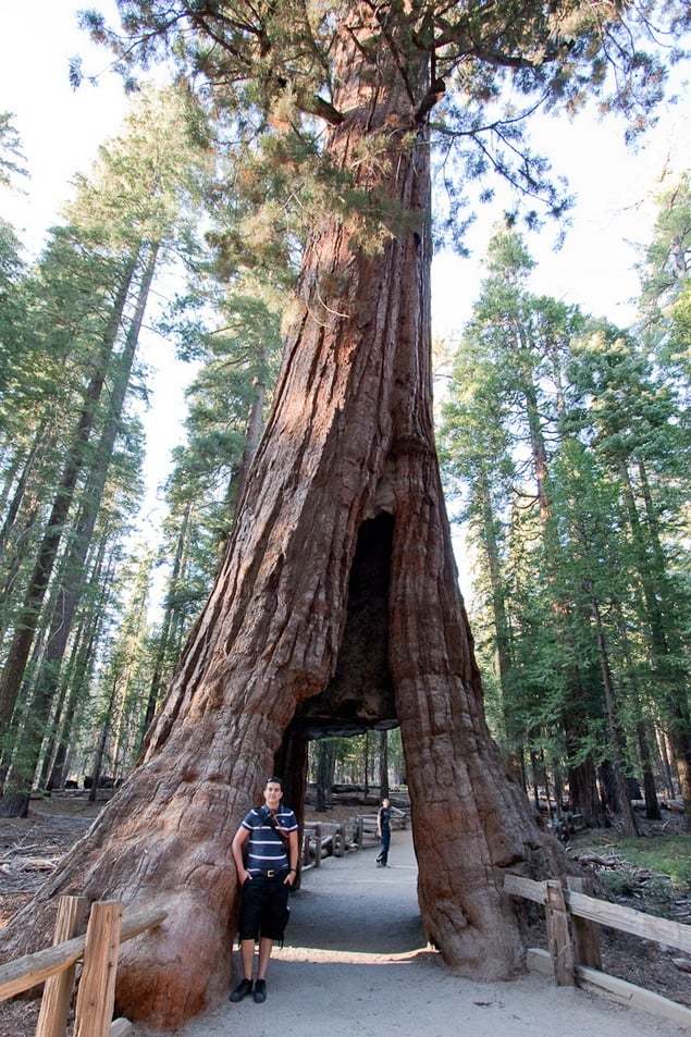 Yosemite National Park