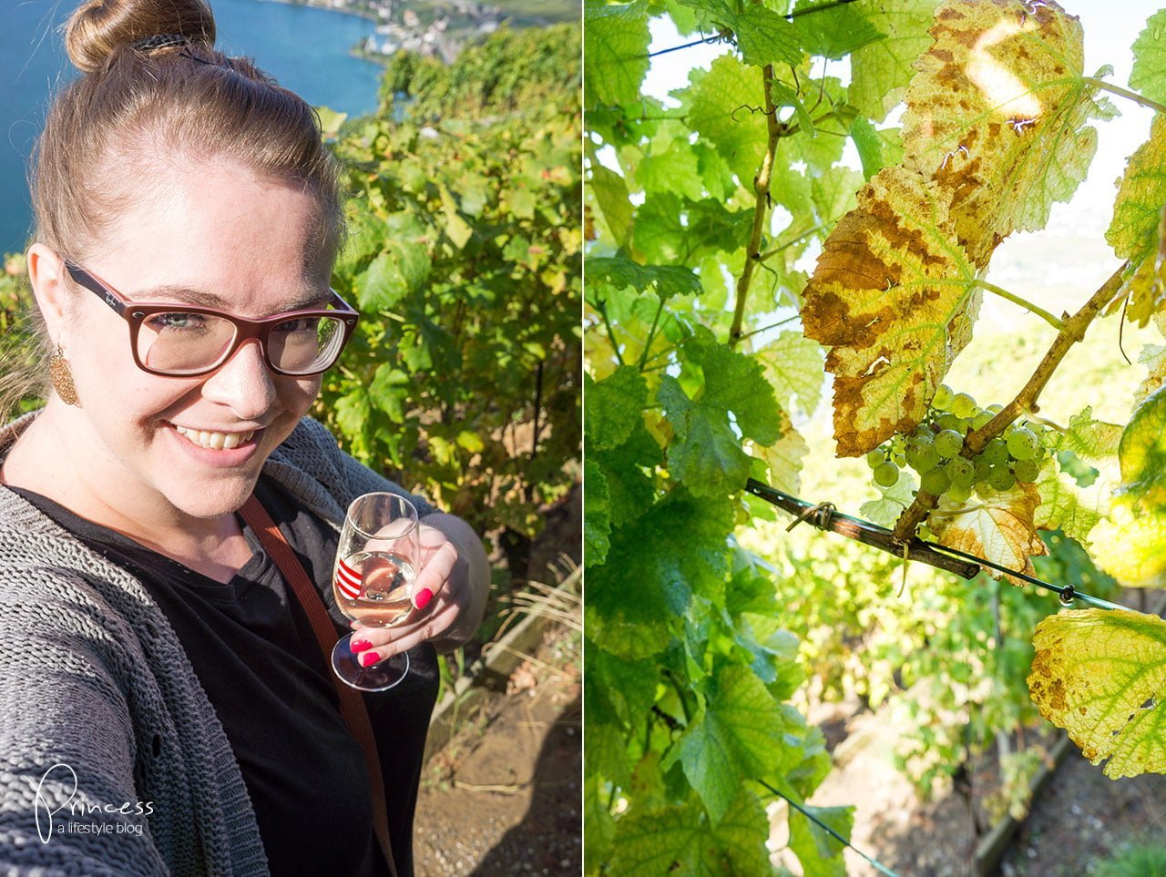 Montreux Riviera - eine wunderschöne Gegend