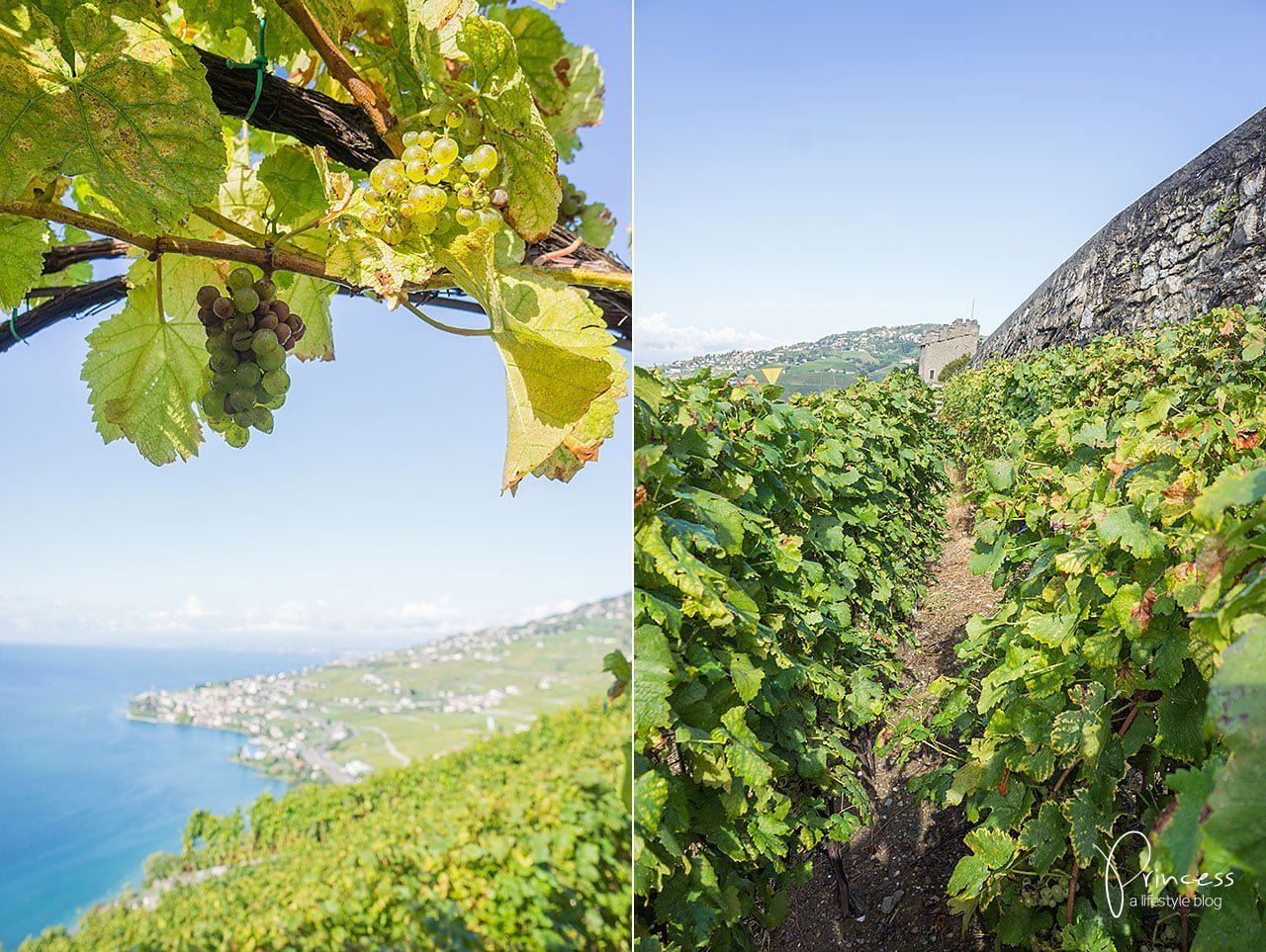 Montreux Riviera - eine wunderschöne Gegend