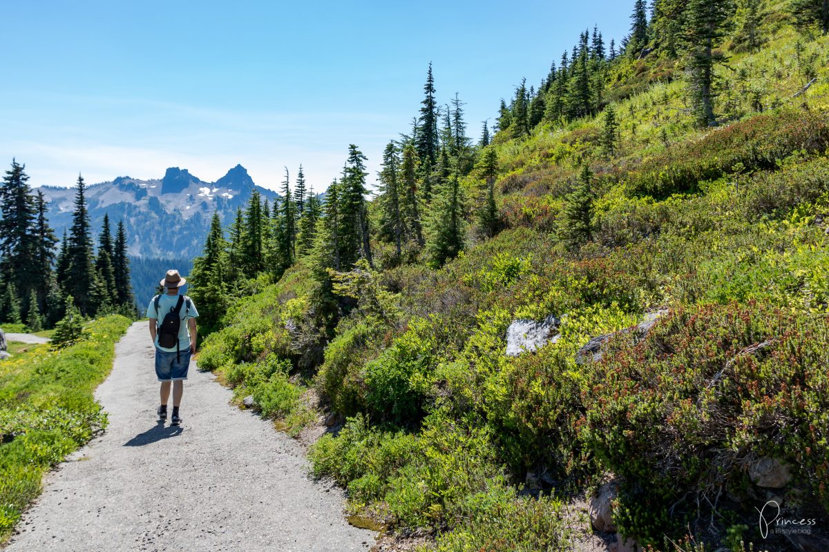 Roadtrip UPDATE: vom Mount Rainier nach Seattle (mit Video)