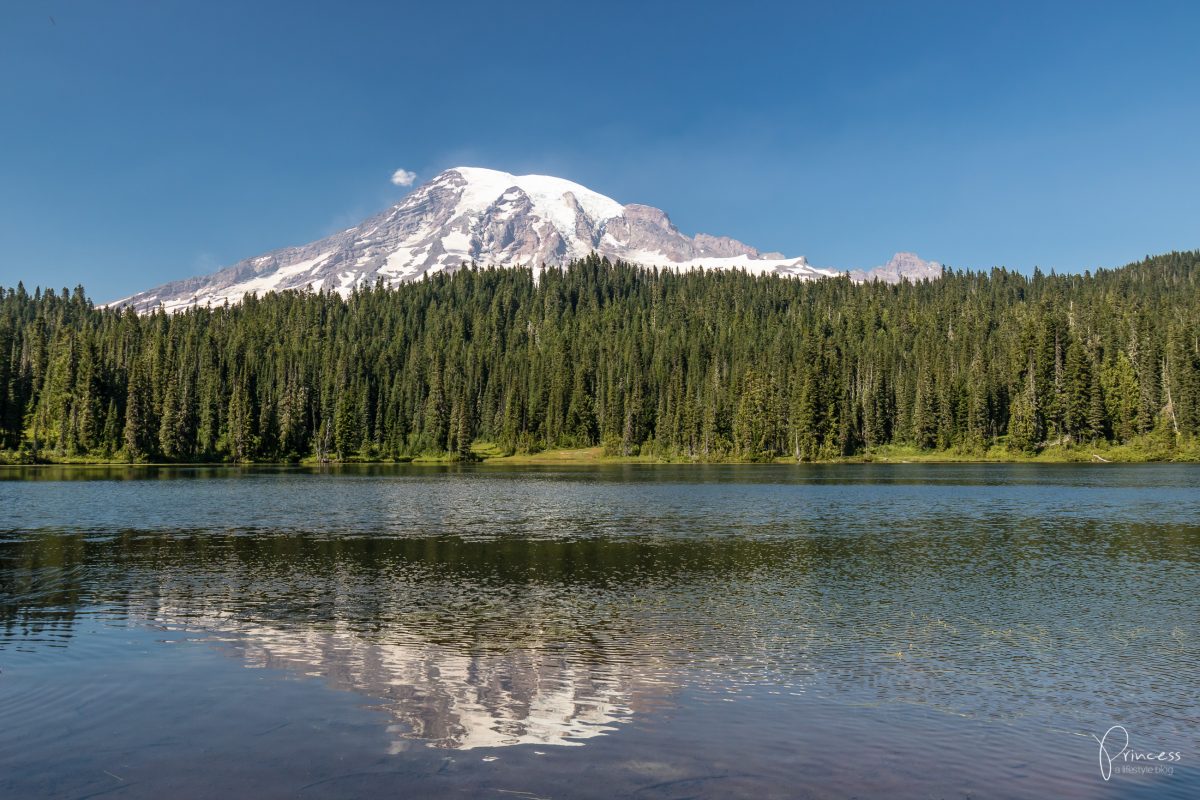 Roadtrip UPDATE: vom Mount Rainier nach Seattle (mit Video)