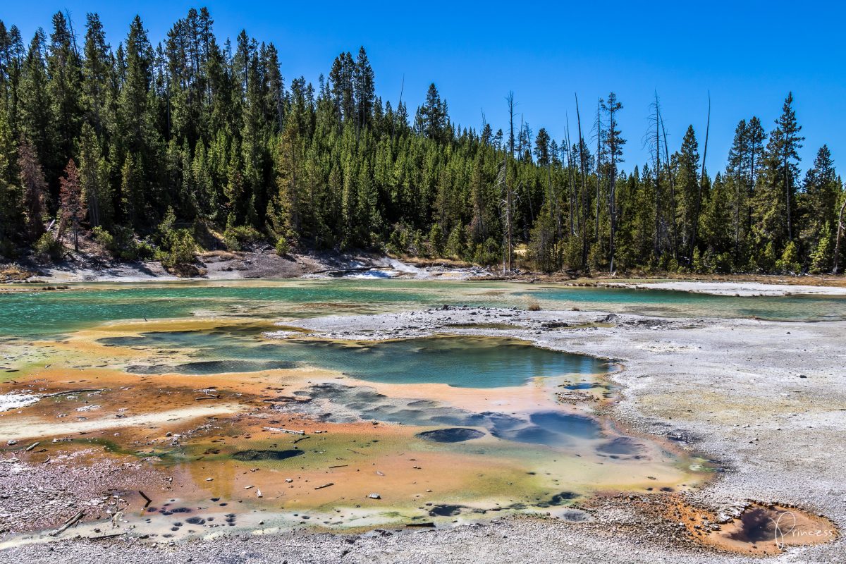 Roadtrip UPDATE: Yellowstone National Park und Las Vegas (mit Video)