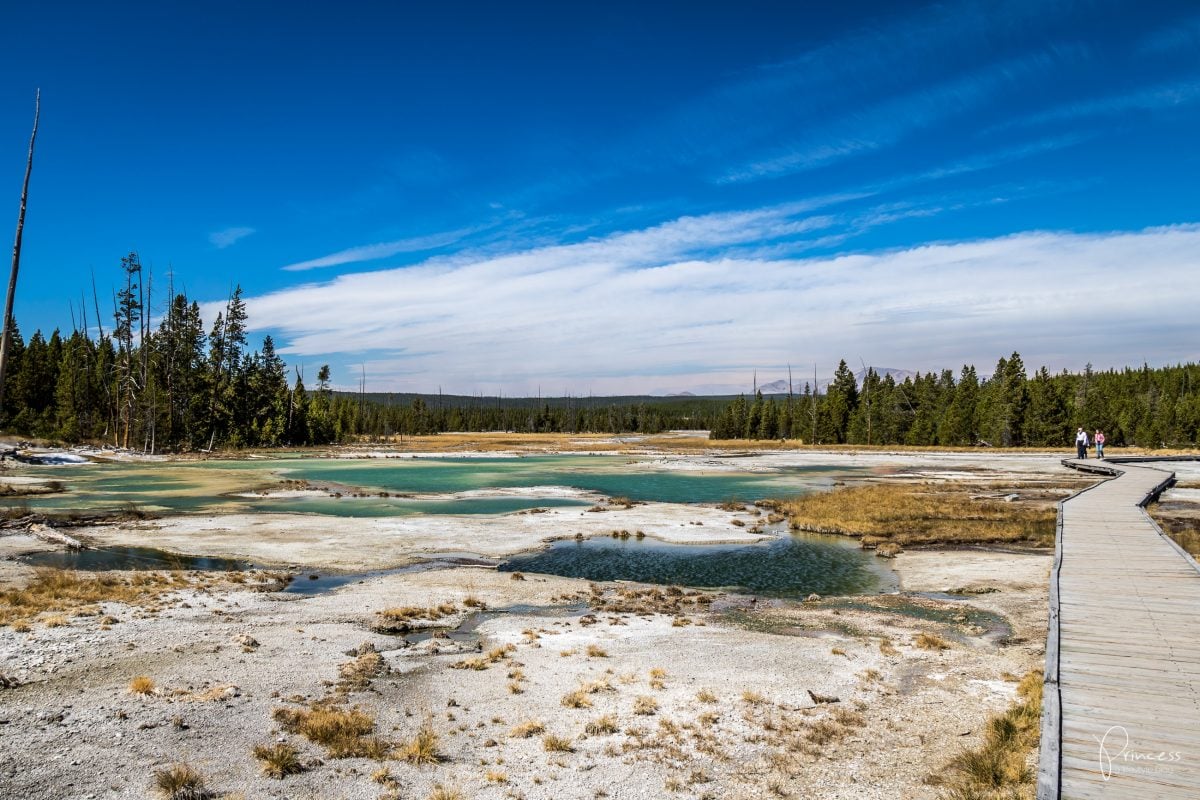 Roadtrip UPDATE: Yellowstone National Park und Las Vegas (mit Video)