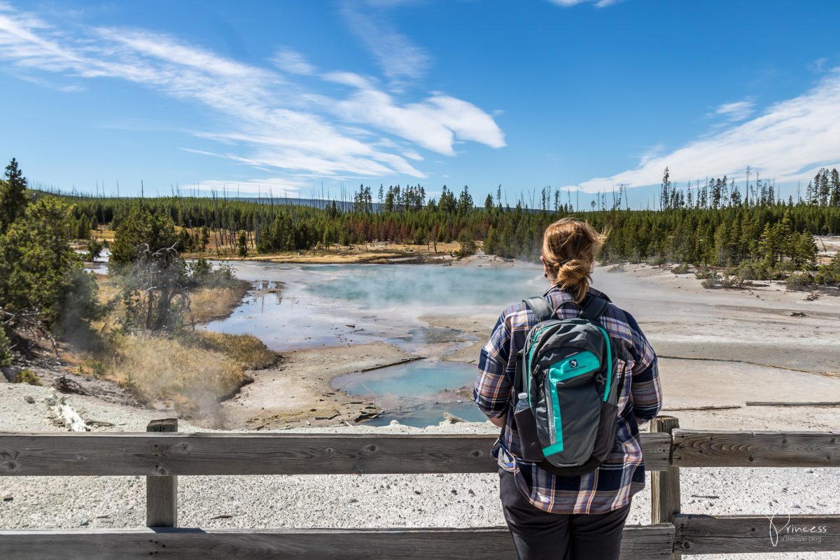 Roadtrip UPDATE: Yellowstone National Park und Las Vegas (mit Video)