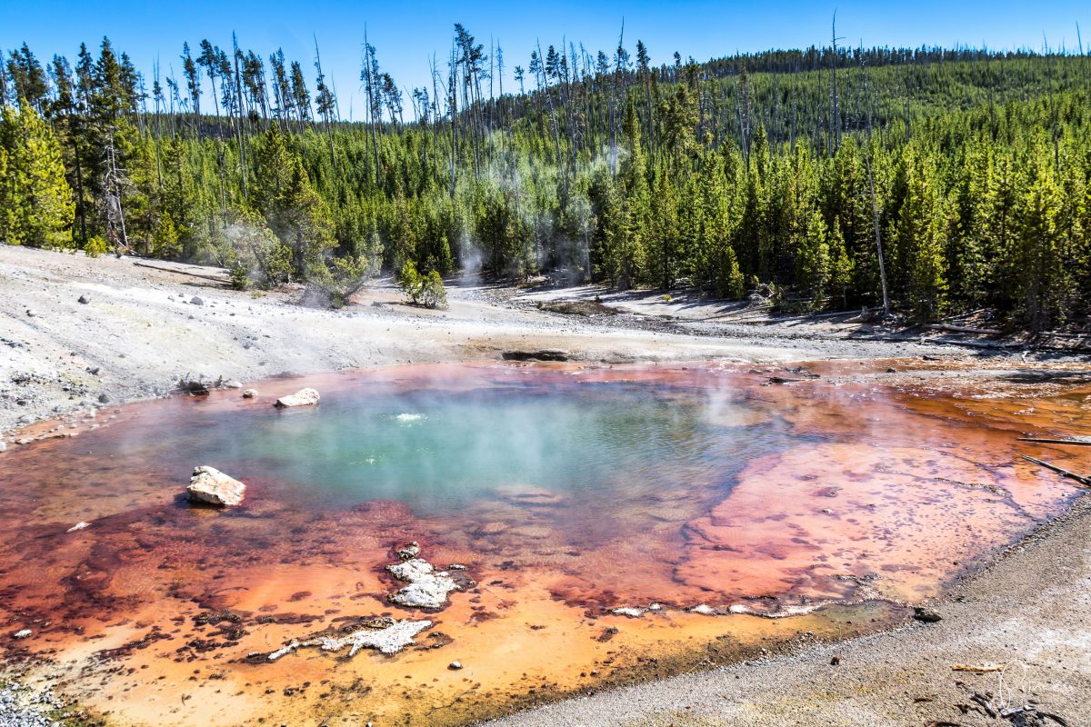 Roadtrip UPDATE: Yellowstone National Park und Las Vegas (mit Video)