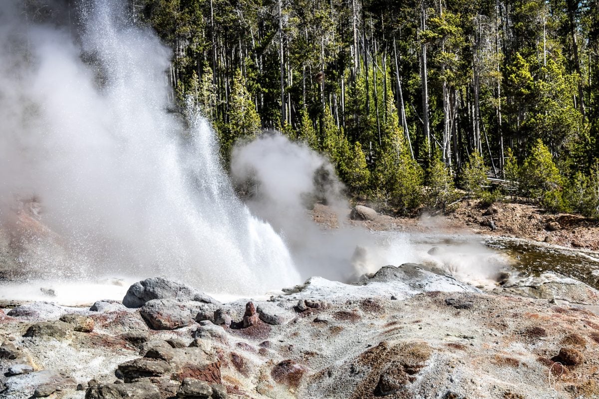 Roadtrip UPDATE: Yellowstone National Park und Las Vegas (mit Video)