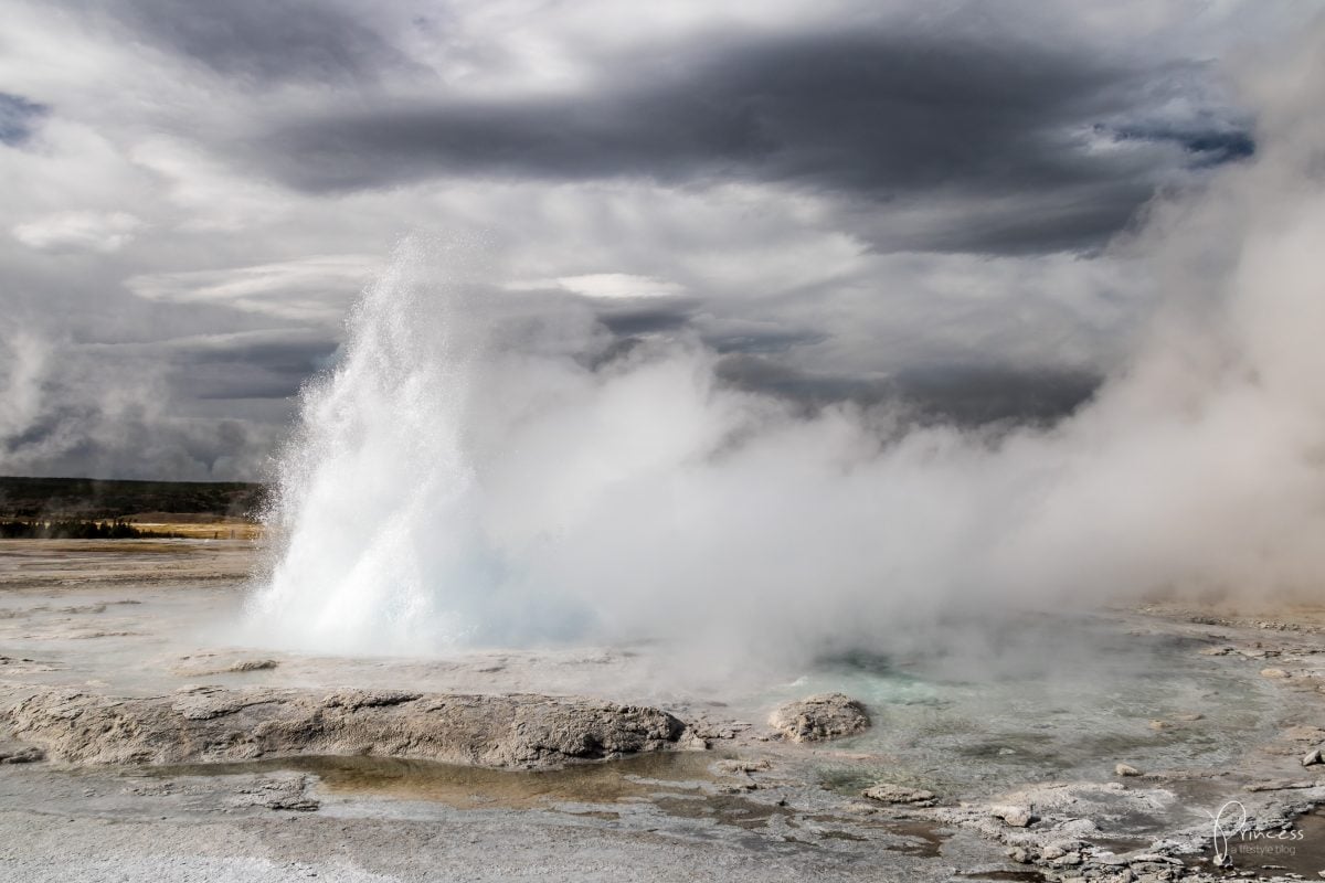 Roadtrip UPDATE: Yellowstone National Park und Las Vegas (mit Video)