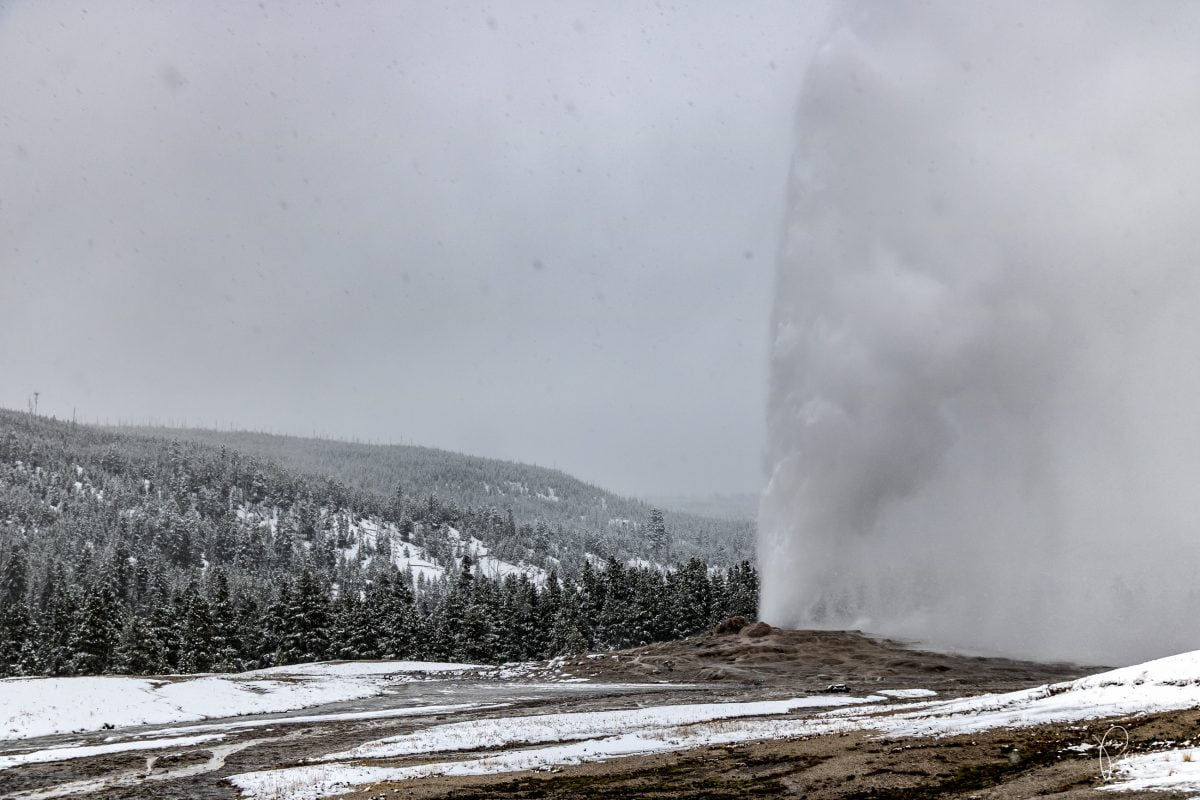 Roadtrip UPDATE: Yellowstone National Park und Las Vegas (mit Video)