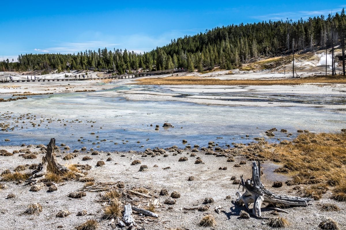 Roadtrip UPDATE: Yellowstone National Park und Las Vegas (mit Video)