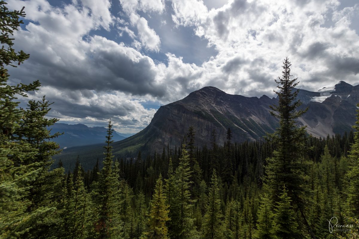 Roadtrip UPDATE: Jasper und Banff National Parks, Canada (mit Video)