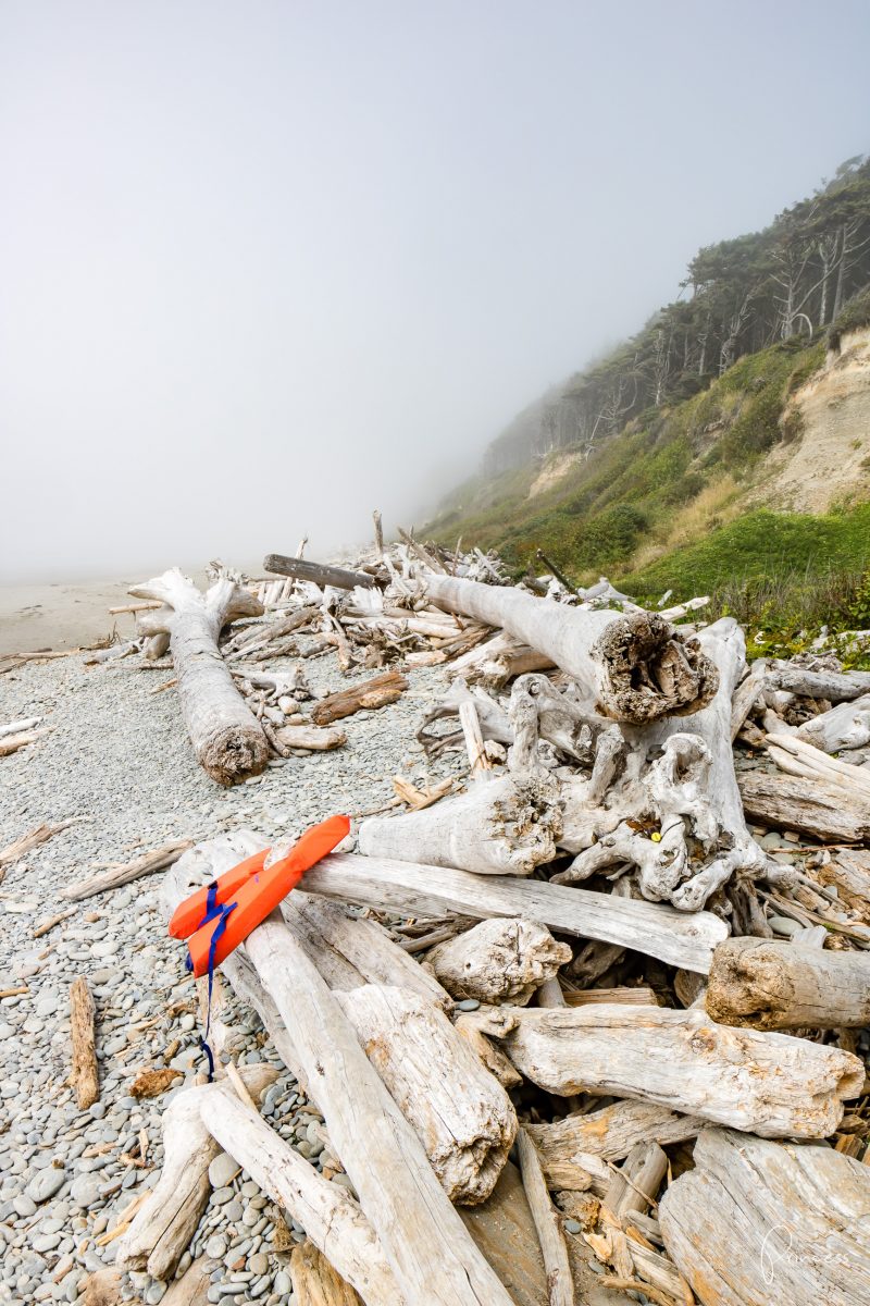 Roadtrip UPDATE: vom Olympic NP nach Vancouver (mit Video)