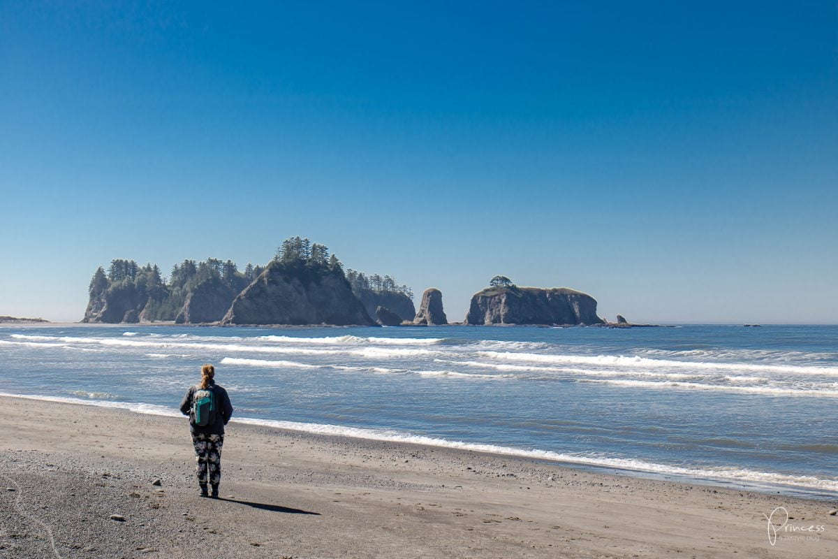 Roadtrip UPDATE: vom Olympic NP nach Vancouver (mit Video)