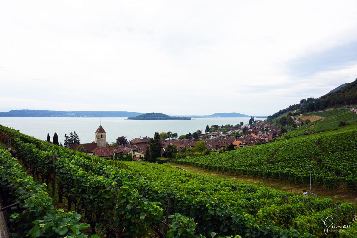 Weinfeste am Bielersee