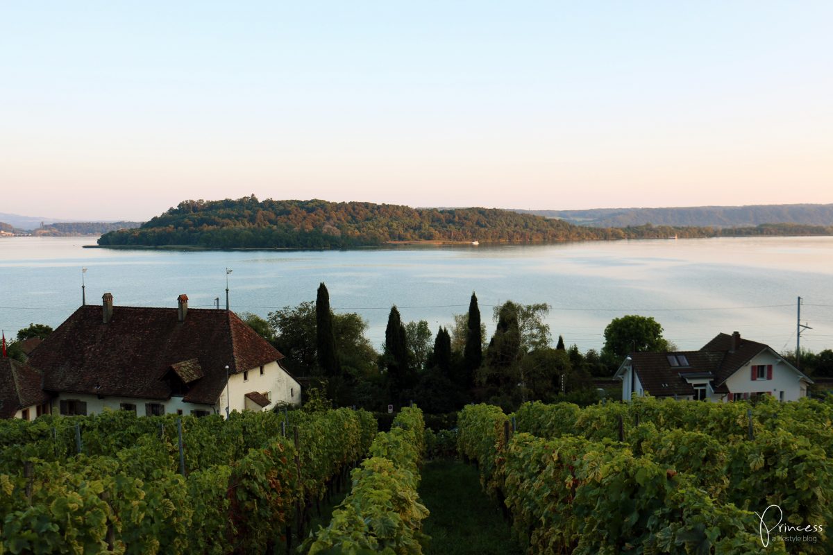 Weinfeste am Bielersee