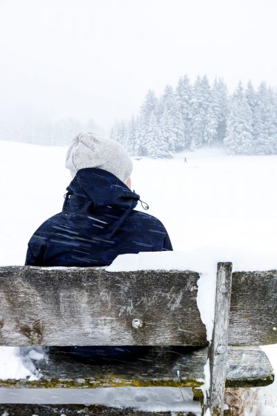 UPDATE: vom Schwarznasenschaf, Winterwonderland und Reiseplänen