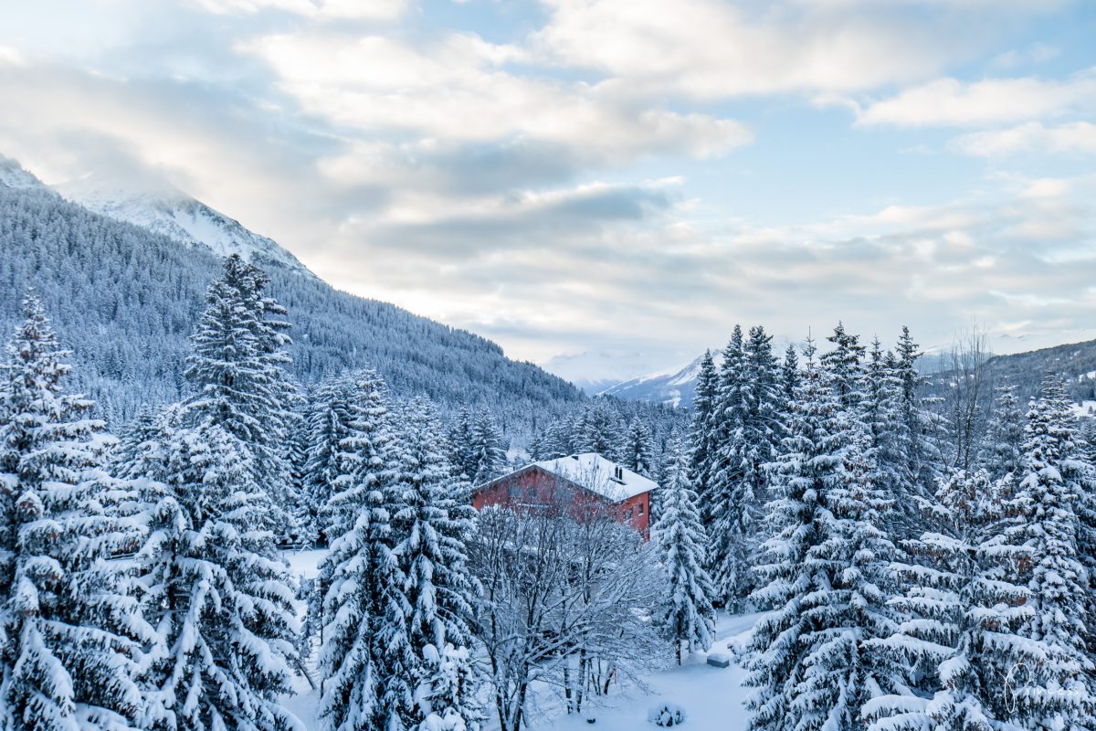 UPDATE: vom Schwarznasenschaf, Winterwonderland und Reiseplänen