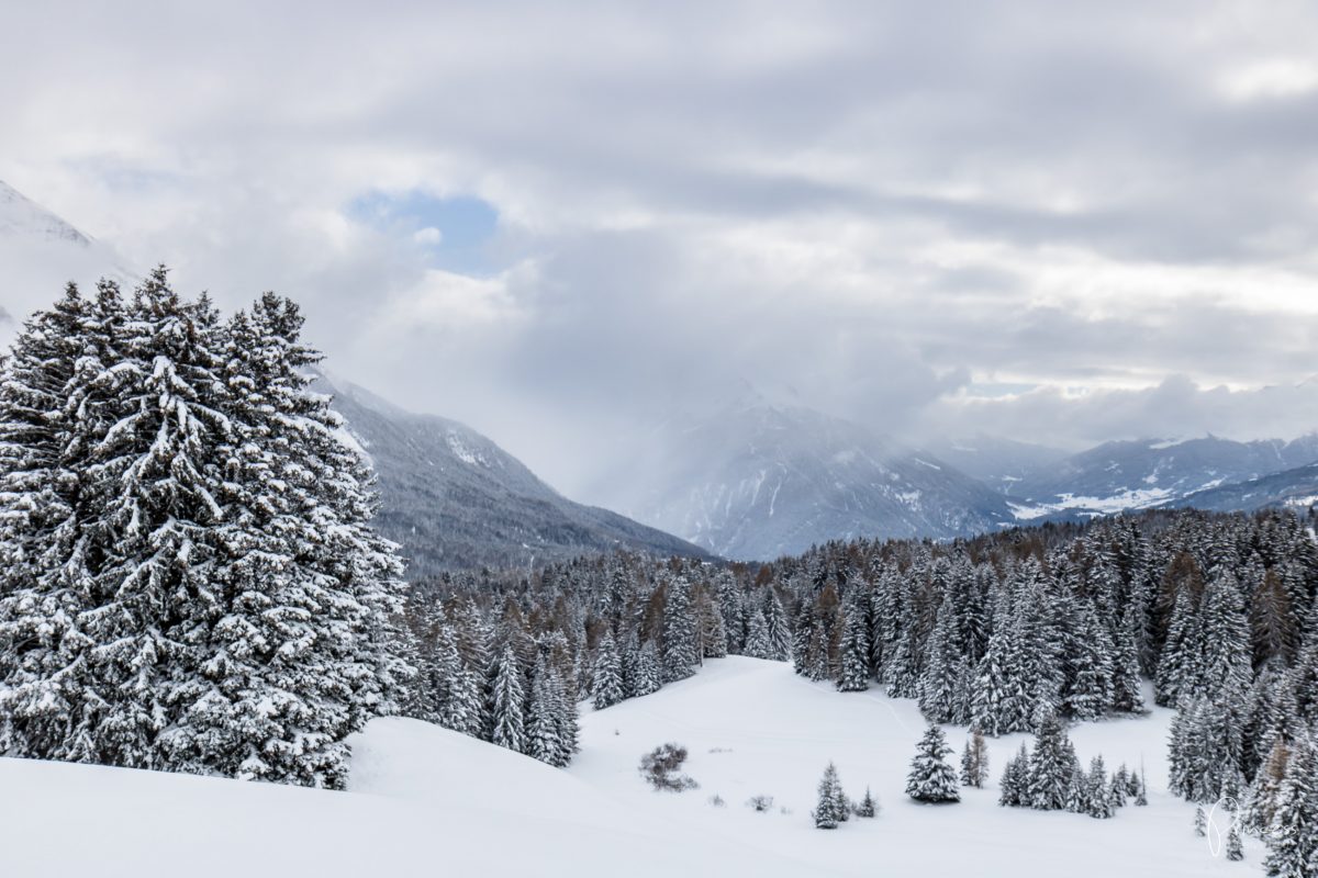 UPDATE: vom Schwarznasenschaf, Winterwonderland und Reiseplänen