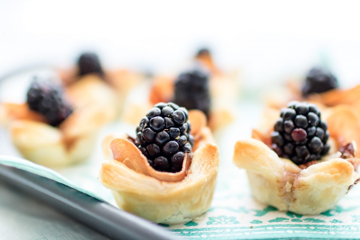 Apéro oder Brunch-Idee: Brombeer Brie Mini-Tarts