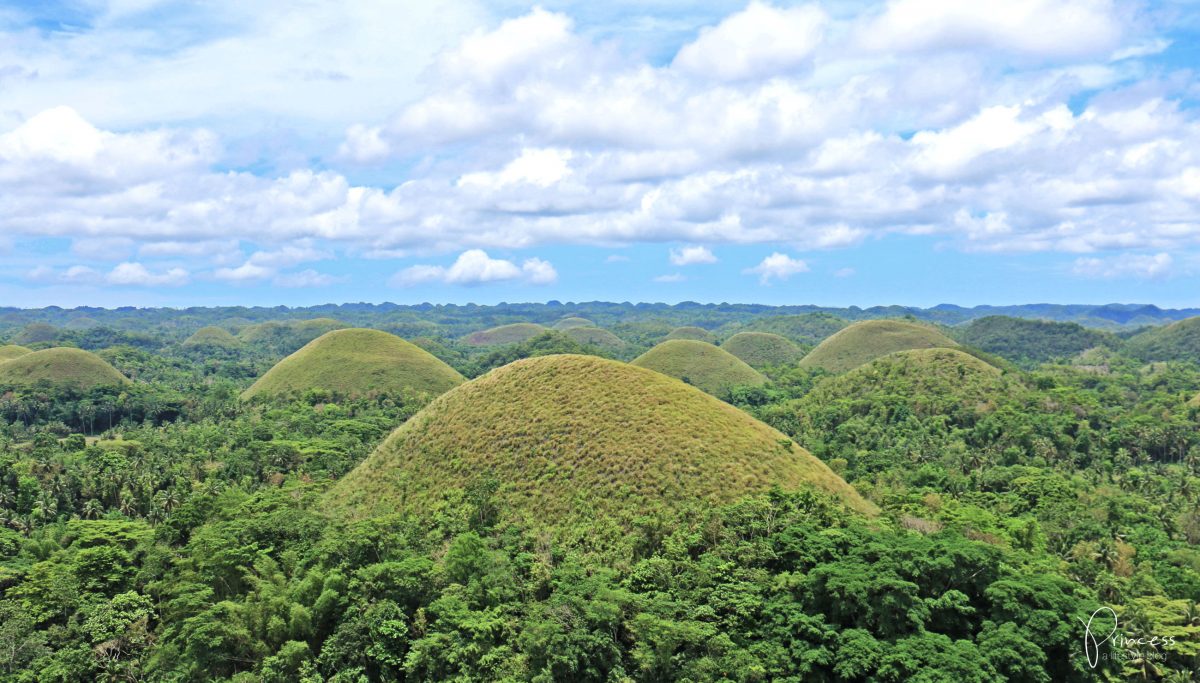 Inseltraum Philippinen: Die besten Reisetipps für Bohol