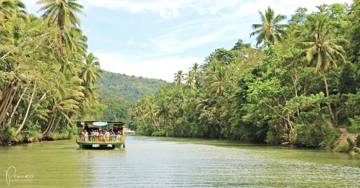 Inseltraum Philippinen: Die besten Reisetipps für Bohol