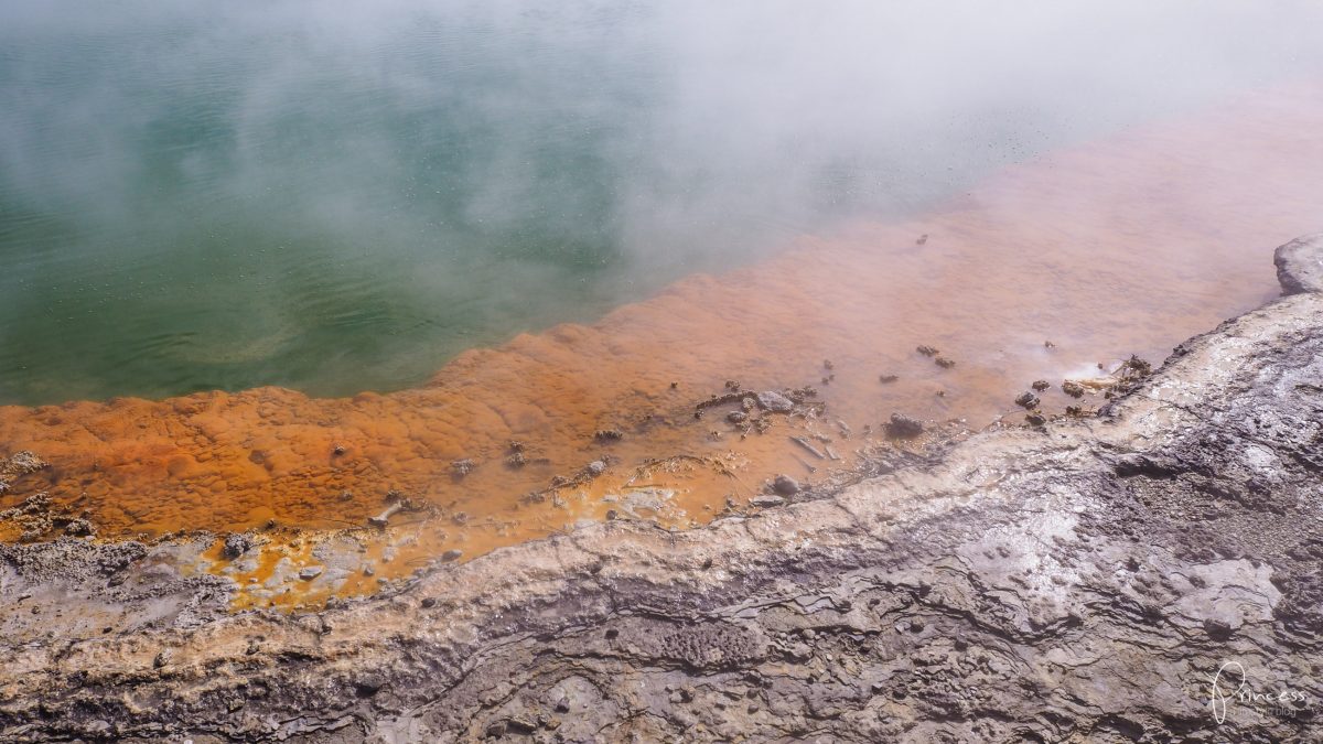 7 unglaubliche Plätze auf der Nordinsel von Neuseeland