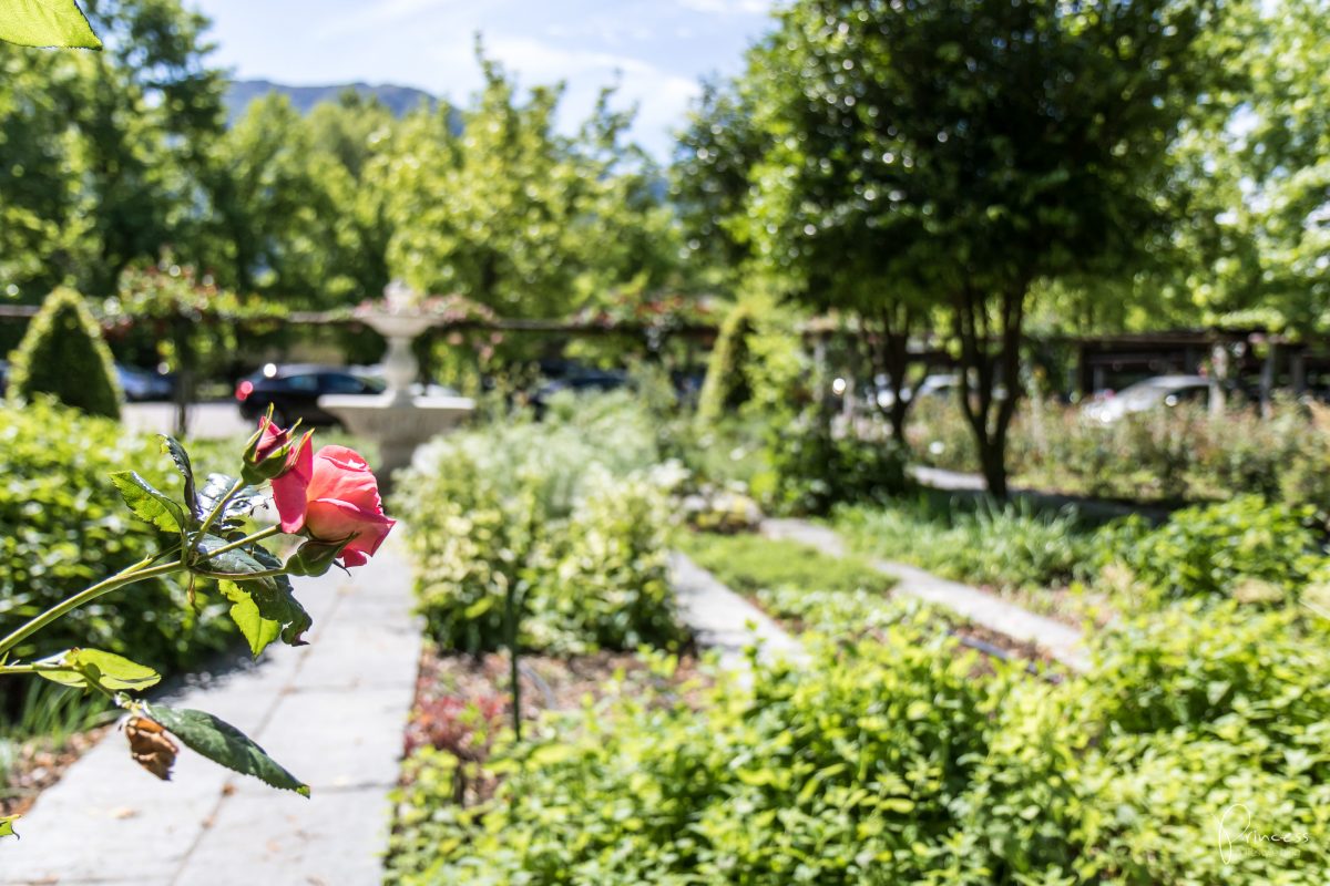 Hotel in Ascona im Tessin: Castello del Sole