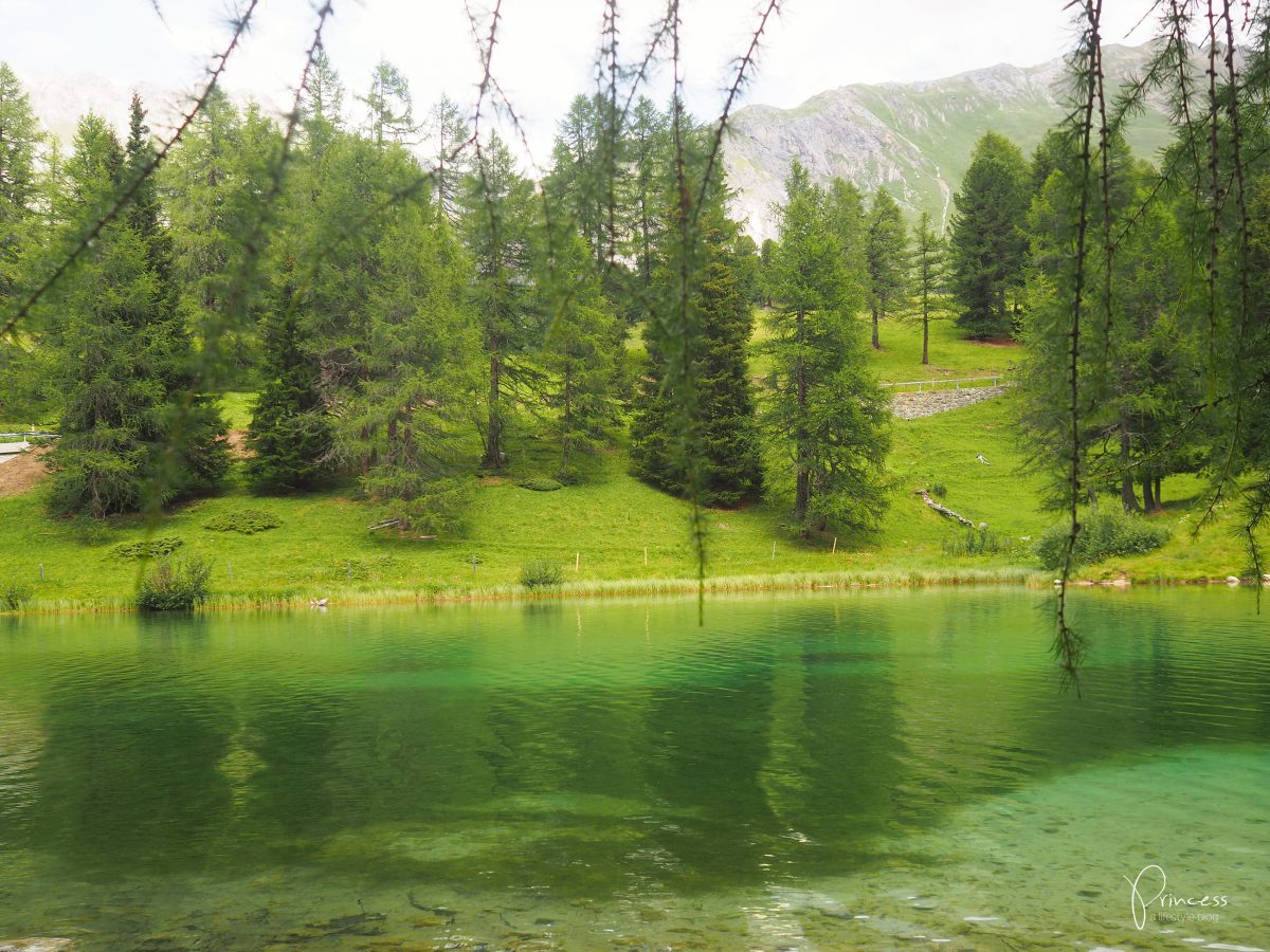 Ferien in der Schweiz: Mit der Rhätischen Bahn den Kanton Graubünden entdecken