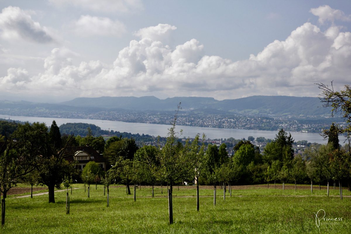 Von Kindheitsträumen und fremden Betten: Sorell Hotel Zürichberg