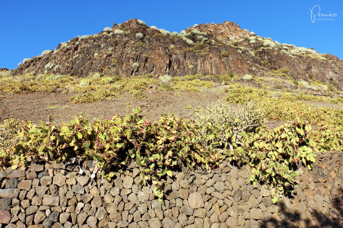 Gran Canaria Ferien: 7 Tipps & ein Reisebericht