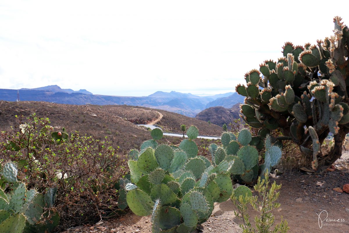 Gran Canaria Ferien: 7 Tipps & ein Reisebericht