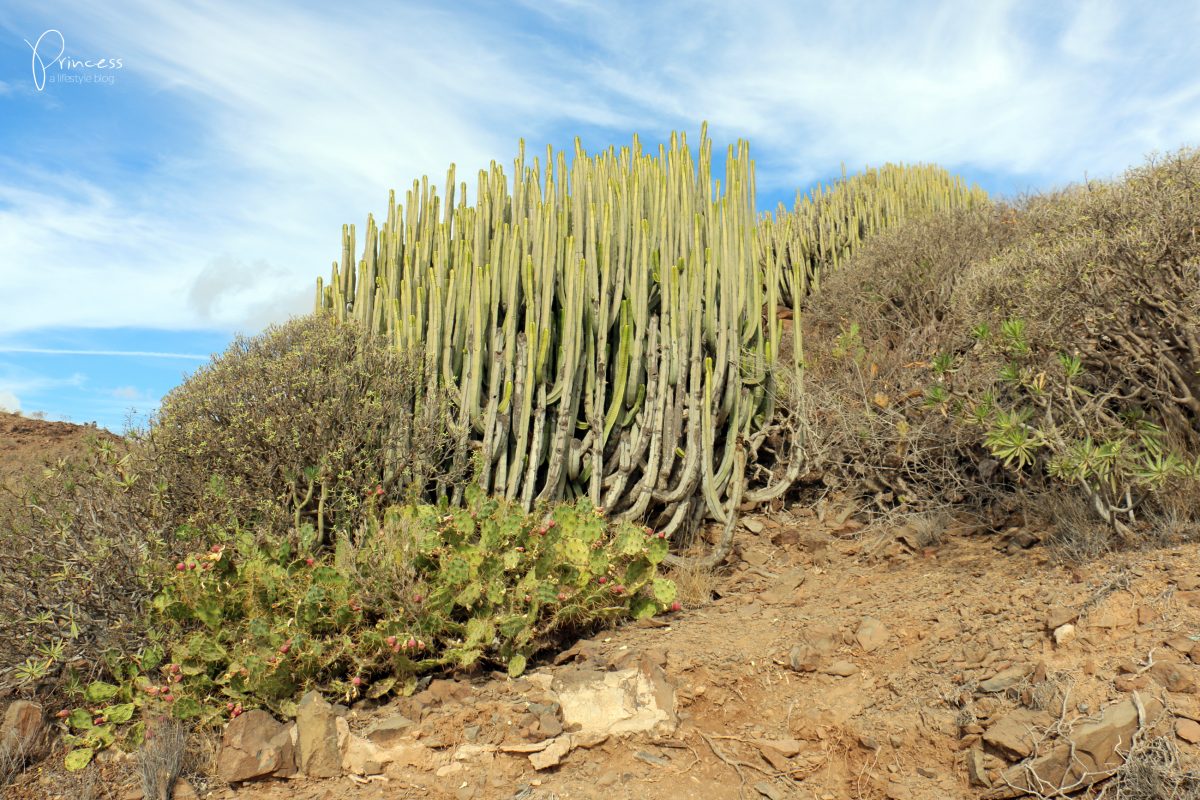 Gran Canaria Ferien: 7 Tipps & ein Reisebericht