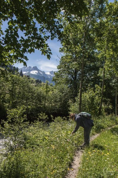 Gstaad Tipps: Übernachtung, Restaurants, Wandern und vieles mehr