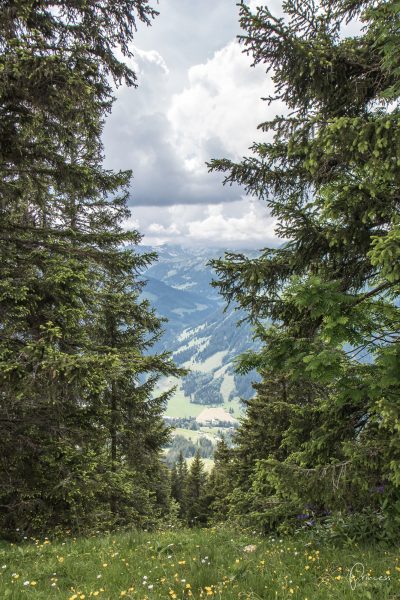 Gstaad Tipps: Übernachtung, Restaurants, Wandern und vieles mehr