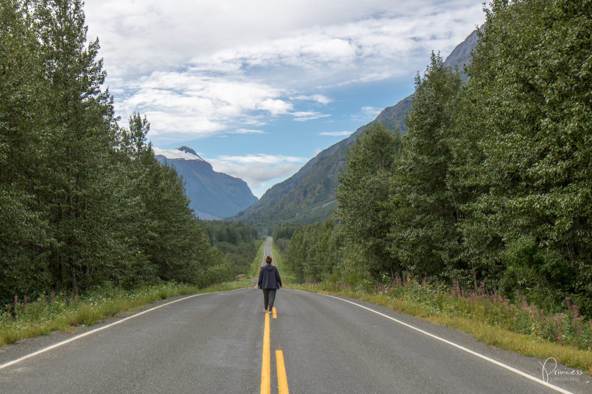 Ein Besuch in Hyder, Alaska - und die Suche nach Grizzlybären