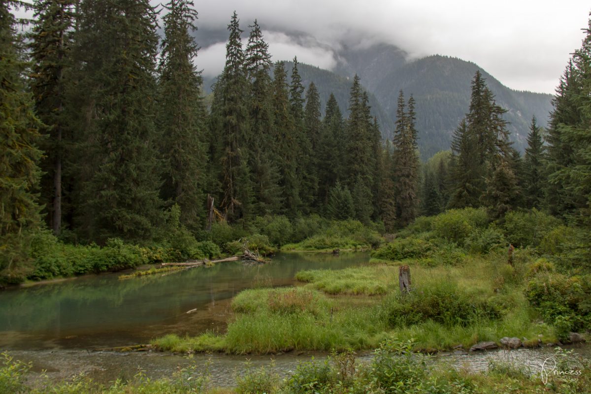 Ein Besuch in Hyder, Alaska - und die Suche nach Grizzlybären