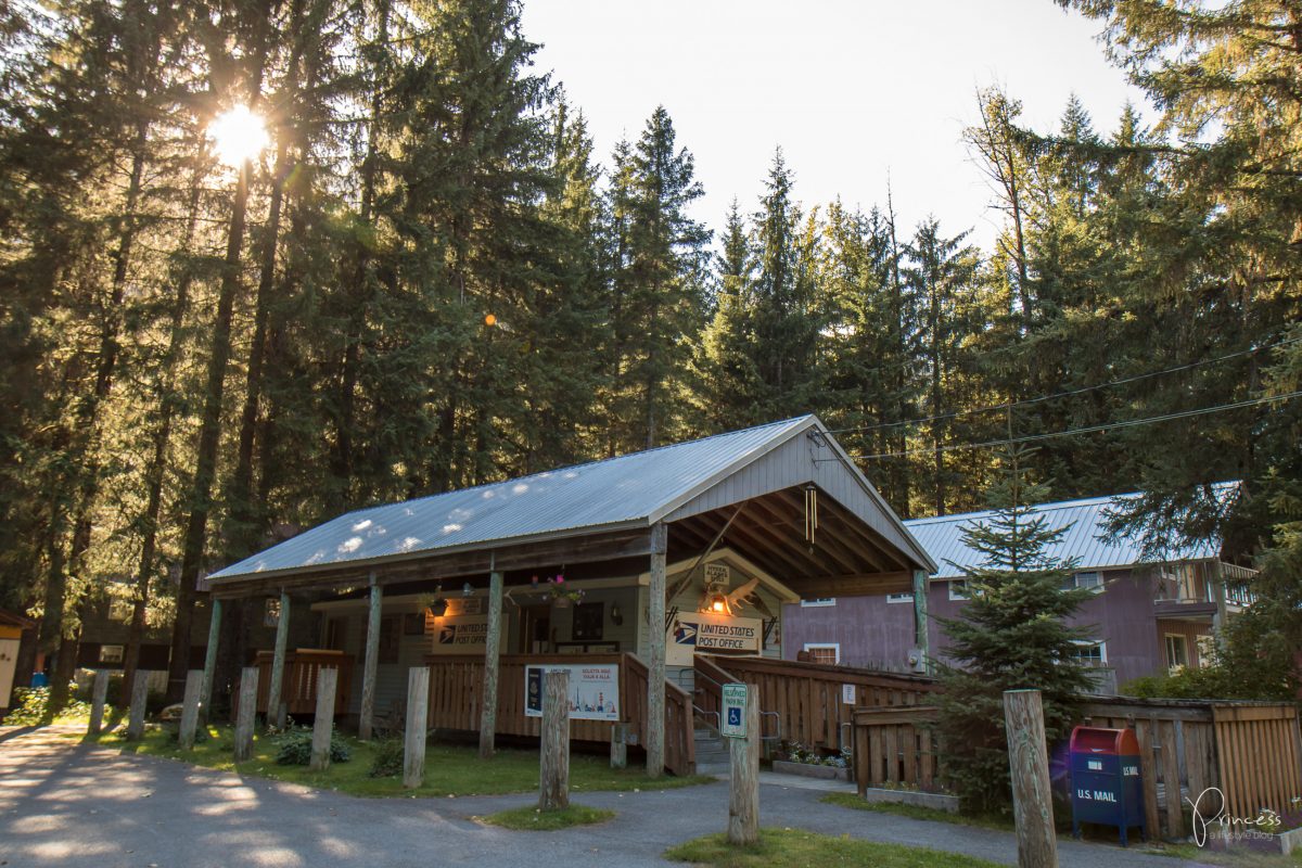 Ein Besuch in Hyder, Alaska - und die Suche nach Grizzlybären