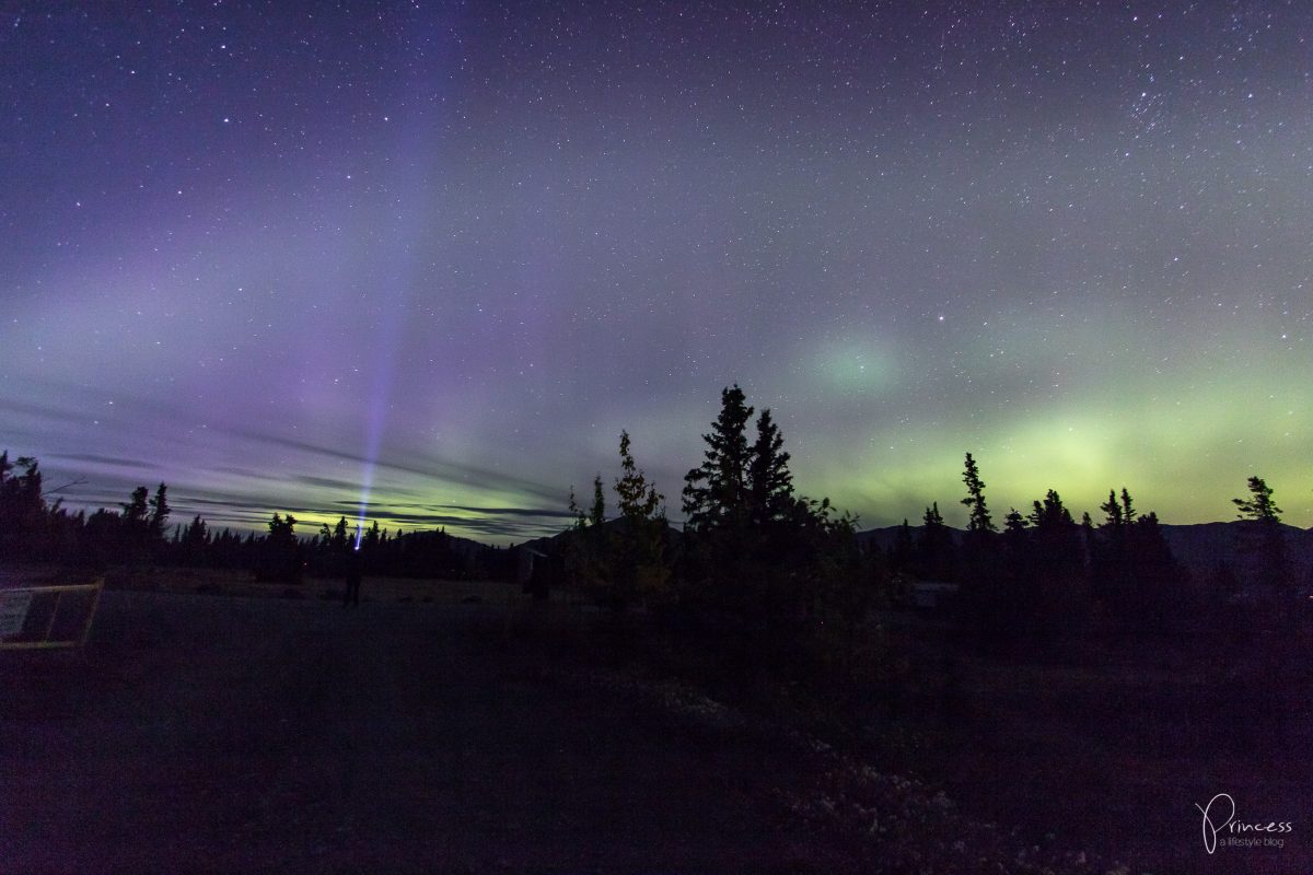 Update: durch den Yukon mit einem weiteren Highlight - Polarlichter