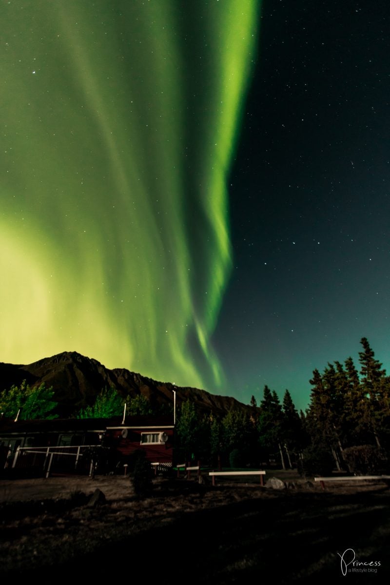 Update: durch den Yukon mit einem weiteren Highlight - Polarlichter