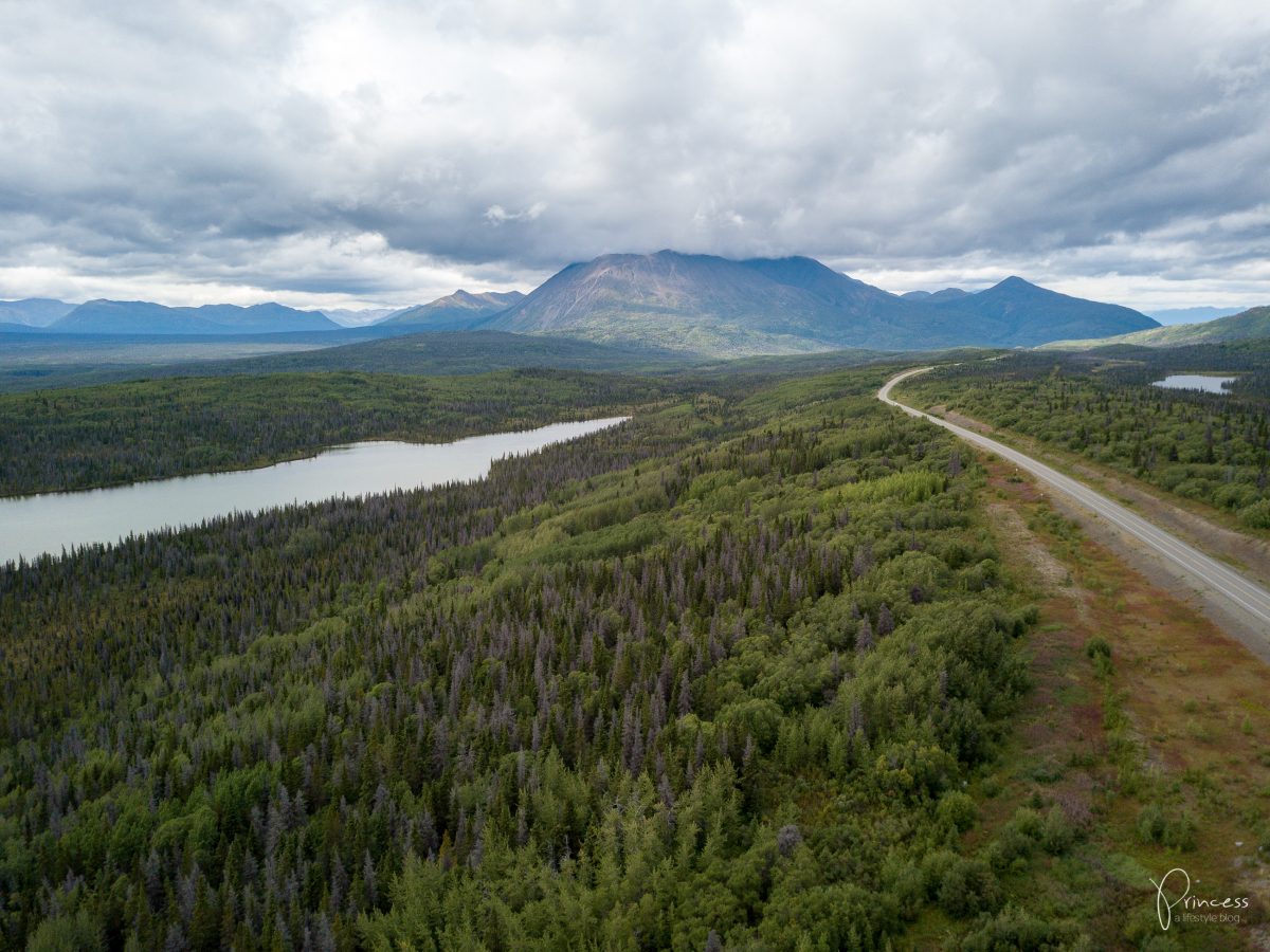 Alaska: Grizzly-Bären Beobachtung (VIDEO)