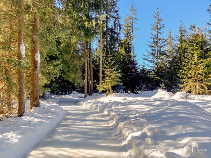 Skateline in Albula, Graubünden - Ausflugstipp Schweiz