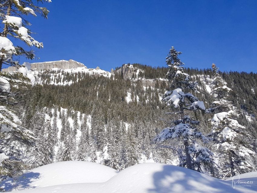 Kleinwalsertal – Der Geheimtipp in Österreich