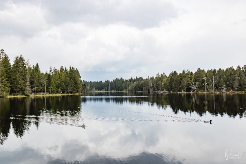 4 Ausflugsziele im Jura für Naturliebhaber und Gourmets