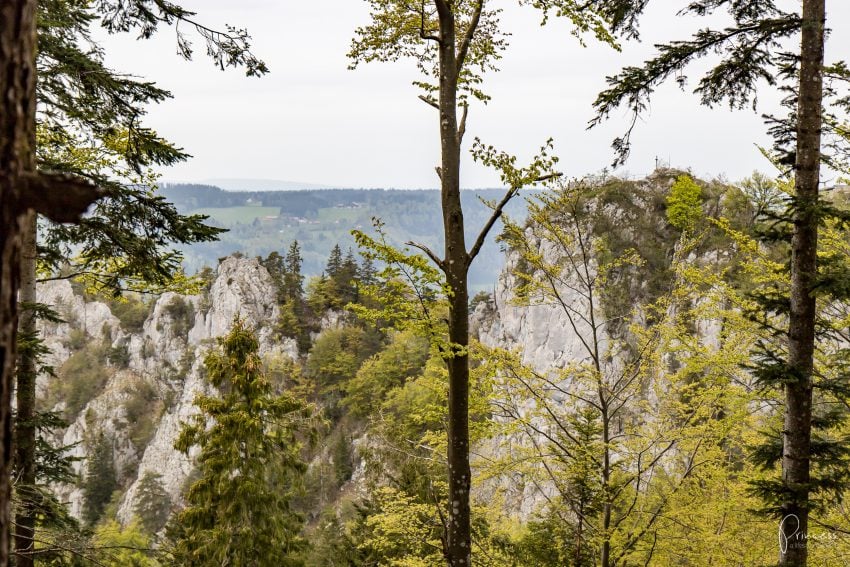 4 Ausflugsziele im Jura für Naturliebhaber und Gourmets