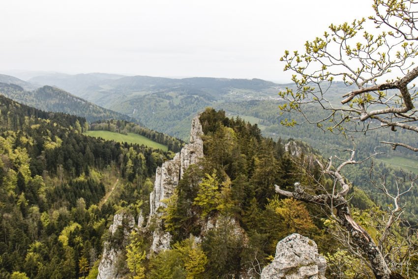 4 Ausflugsziele im Jura für Naturliebhaber und Gourmets