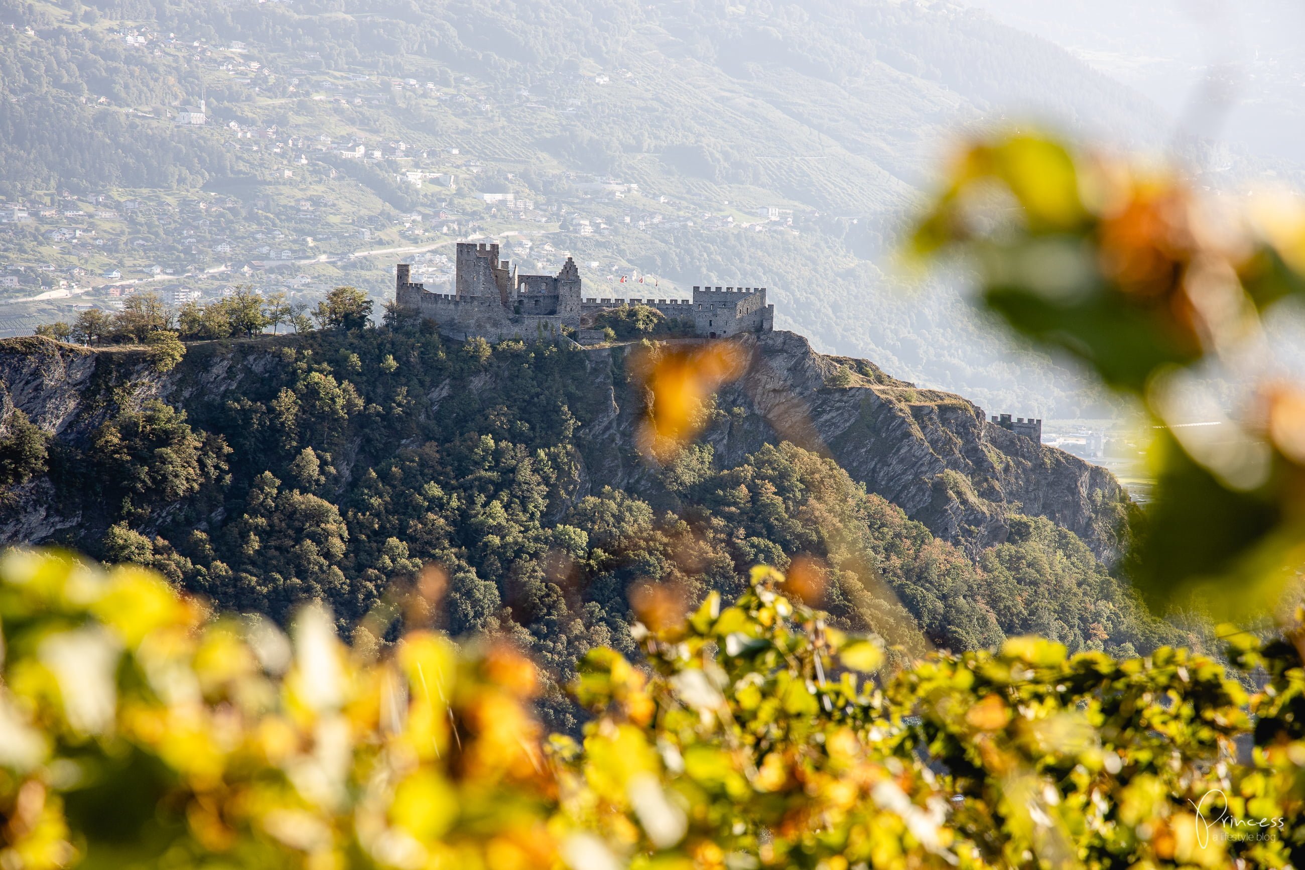 Wallis: 15 Tipps für Wein & Food-Liebhaber