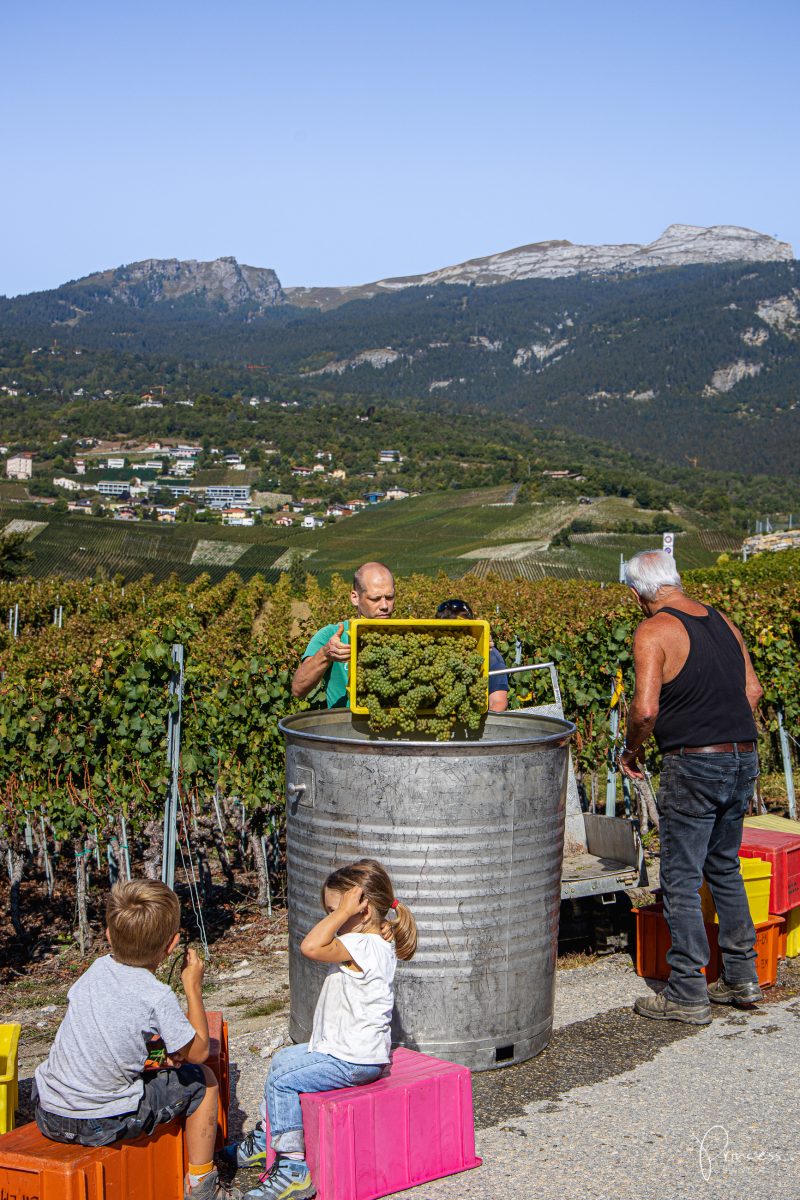 Wallis Ausflugsitpp: Am Puls der Ernte