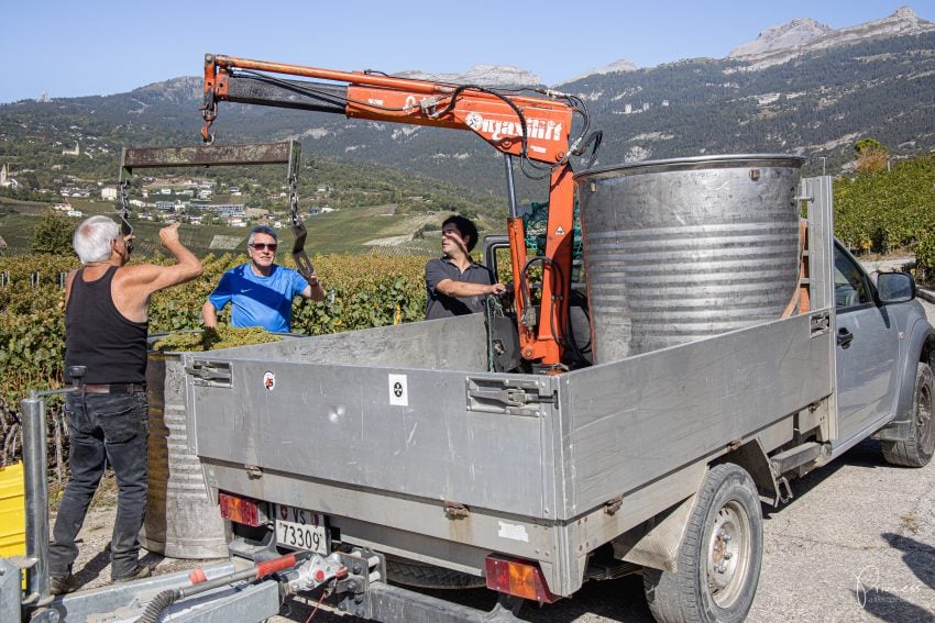 Wallis Ausflugsitpp: Am Puls der Ernte