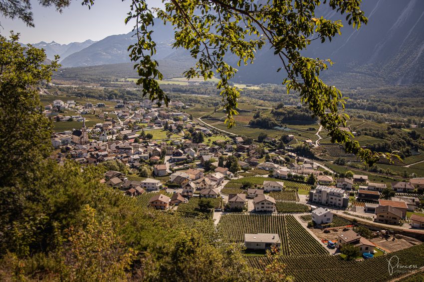 Wallis Ausflugsitpp: Am Puls der Ernte