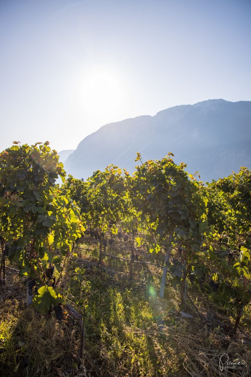 Wallis Ausflugsitpp: Am Puls der Ernte